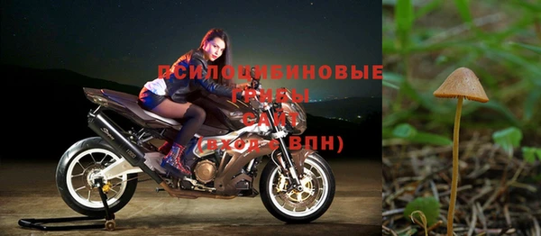 прущий лед Касимов