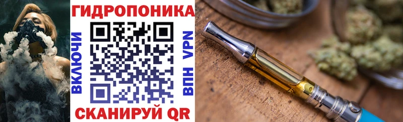 Купить где  Звенигород  Каннабис SATIVA & INDICA 